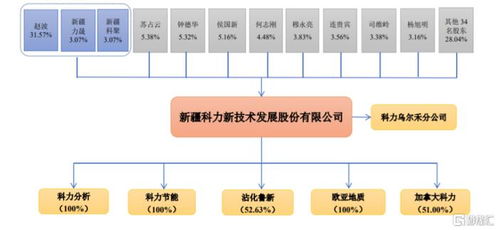 科力股份北交所上會 技術(shù)服務(wù)行業(yè)機遇與挑戰(zhàn)并存